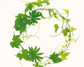 ���i�C���[�W4